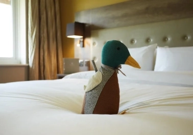 Seamless Connectivity: Enjoying Complimentary WiFi Throughout Your Stay sidebar image